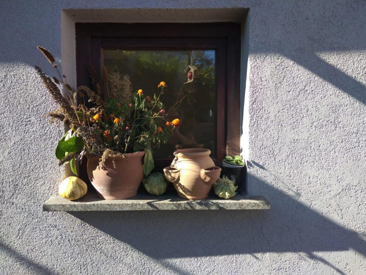 Ferienhaus Badetz Dış mekan fotoğraf